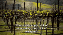 A Visit To A California Wine Ghetto GIF - Wine Drink Alcohol GIFs