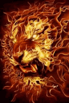 Lion Flame GIF - Lion Flame Fire GIFs