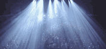 Crowd Live Concert GIF - Crowd Live Concert Light Strobes GIFs