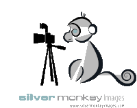 Silvermonkeyimages Photographer Sticker - Silvermonkeyimages Photographer Stickers
