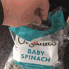 Spinach Cat GIF - Spinach Cat Betrayal GIFs