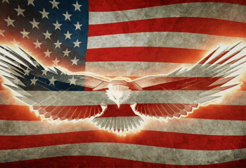 american-flag-bald-eagle.gif