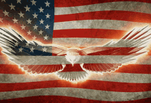 american flag bald eagle all american wave