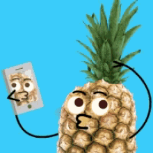 Pineapple Head GIF - Pineapple Head Selfie GIFs