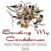 My Condolences Greetings GIF - My Condolences Greetings Sorry For Your Loss GIFs