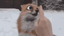 Boop Fox GIF - Boop Fox Snoot GIFs