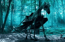 Harry Potter Invisible GIF - Harry Potter Invisible Dragon GIFs
