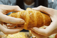 Croissant GIFs | Tenor
