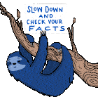 Slow Down And Check Your Facts Sloth Sticker - Slow Down And Check Your Facts Sloth Misinformation Stickers