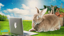 Sniffing Peter Rabbit GIF - Sniffing Peter Rabbit Peter Rabbit2the Runaway GIFs