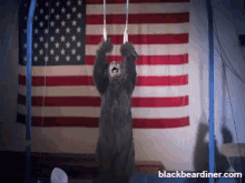 bear bears gymnast gymnastics athletic