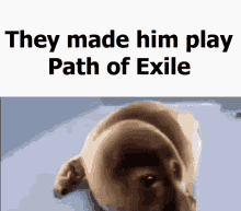 Path Of Exile They Made Him Play Path Of Exile GIF - Path Of Exile They Made Him Play Path Of Exile GIFs