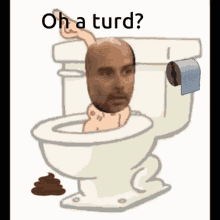 oh a turd flush toilet bowl