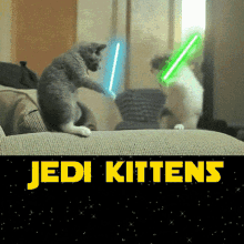 Kittens On Guard GIF - Kittens On Guard Lightsaber GIFs