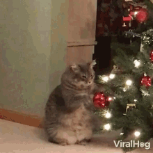 Kitty Claws Christmas Tree Cat Playing With Christmas Tree GIF - Kitty Claws Christmas Tree Cat Playing With Christmas Tree Cat Playing GIFs