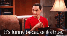 It'S Funny Because It'S True GIF - The Big Bang Theory Sheldon Cooper Jim Parsons GIFs