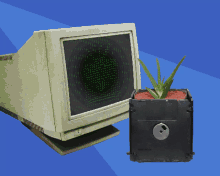 Rotating Plant Tashkoskim GIF - Rotating Plant Tashkoskim Floppy Disk GIFs
