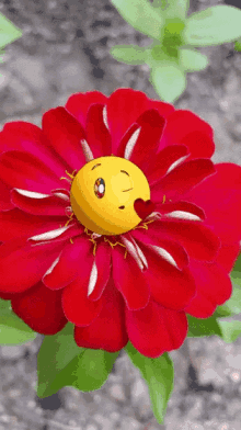 Good Day Flower GIF - Good Day Flower Smiley GIFs