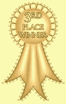 3rd 3rd Place GIF - 3rd 3rd Place Groups GIFs