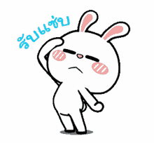 yes sir salute nodding cute bunny