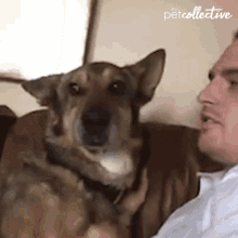 kissing-the-pet-collective.gif