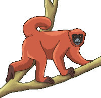 Monkey Woolly Monkey Sticker - Monkey Woolly Monkey Yellow Tailed Woolly Monkey Stickers