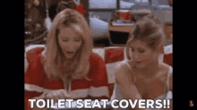 Toilet Seat Toilet Seat Covers GIF - Toilet Seat Toilet Seat Covers Phoebe GIFs