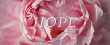 Hope Flower GIF - Hope Flower Blooming GIFs
