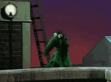 Muppets Droop GIF - Muppets Droop Sigh GIFs