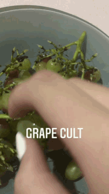 Grapes GIF - Grapes GIFs