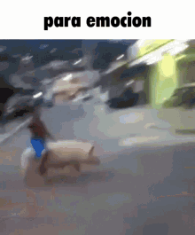Para Emocion Hog Rider GIF - Para Emocion Hog Rider Hawg Rida GIFs