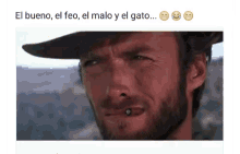 el gato