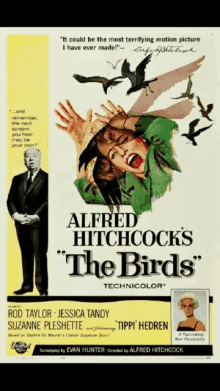 movies the birds poster