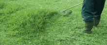 Tall Grass GIF - Tall Grass Cut Grass Trim GIFs