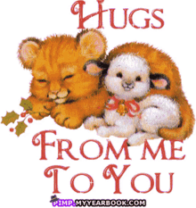 hugs hug from me to you friends love animals