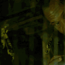 Looking Around With My Torch David Tapp GIF - Looking Around With My Torch David Tapp Saw GIFs