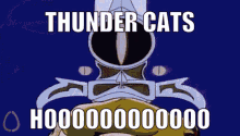 Thunder Cats GIF - Thunder Cats Thundercats GIFs