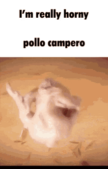 Horny Pollo Campero GIF - Horny Pollo Campero Twerk GIFs