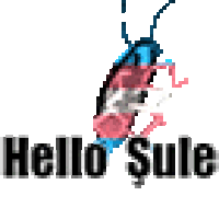 Hello Hi Sticker - Hello Hi Sule Stickers