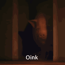 Pig Animal GIF - Pig Animal GIFs