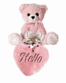 hello teddy hello heart sweet pink teddy bear