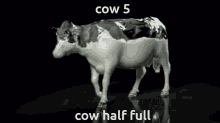 Cow Cow5 GIF - Cow Cow5 Cowboy GIFs