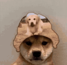 Dog Hat GIF - Dog Hat Smile GIFs