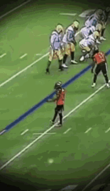 cocky-wide.gif