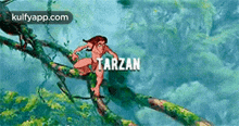 Tarzan.Gif GIF - Tarzan Person Human GIFs