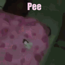 pee meme tpxical sleeping prank pee meme tpxical sleeping prank