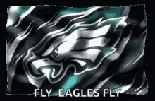 eagles fly