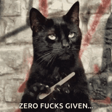 Black Cat Zero Fucks Given GIF - Black Cat Zero Fucks Given Dont Give A Fuck GIFs