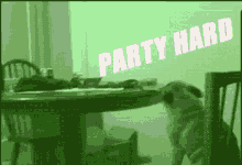 Party Hard Pug GIF - Party Hard Pug Crazy GIFs