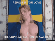 Svensk Swedish GIF - Svensk Swedish GIFs